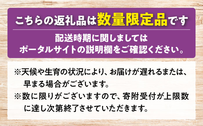 【先行予約】【9月上旬から9月末に順次発送】【訳あり】ピオーネ 約1kg（約500g×2パック）露地栽培 ぶどう 果物 ピオーネ フルーツ 葡萄 ブドウ 三次市/西田ぶどう園 [APCM006]