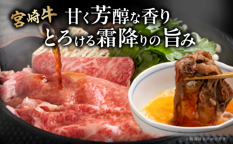 宮崎牛ローススライス(計400g) 肉 牛 牛肉 国産_T050-0051