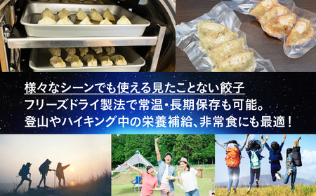 [宇宙に一番近い焼き餃子] 銀河系焼き餃子 GYOLAXY 4個入×3袋 [0322]
