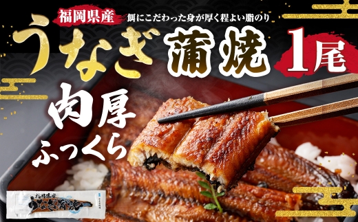 福岡県産肉厚ふっくらうなぎ蒲焼140g以上