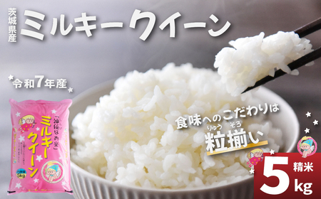 ミルキークイーン 5kg 精米 白米 令和7年産