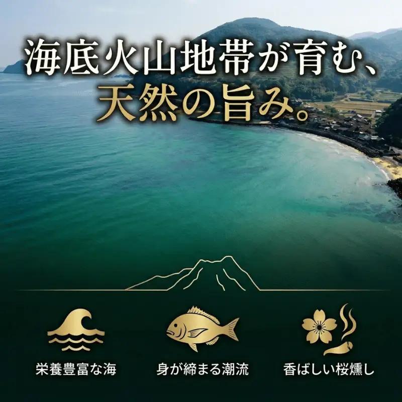 天然レンコダイ 桜燻しオイル漬け 46g×3袋セット