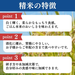 令和7年産 新潟県上越産こしひかり 精米 10kg 3か月定期便 上越市 米 コメ コシヒカリ