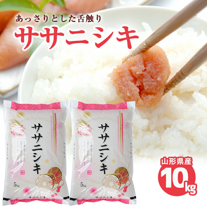 【ふるさと納税】ササニシキ 計10kg 5kg×2袋 令和7年産米 山形県産 ご希望の時期頃お届け 米 精米 白米 東北 山形県 庄内地方 JA 農協 発送時期が選べる