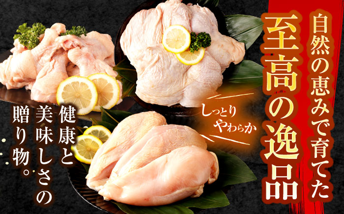 【3回定期便】【長崎県産】長崎夢みどり（鶏もも肉1kg×3P・むね肉1kg×2P・手羽元1kg×3P8kgセット）/ モモ肉 ムネ肉 手羽元 鶏肉 / 諫早市 / 西日本フード株式会社 [AHAV01