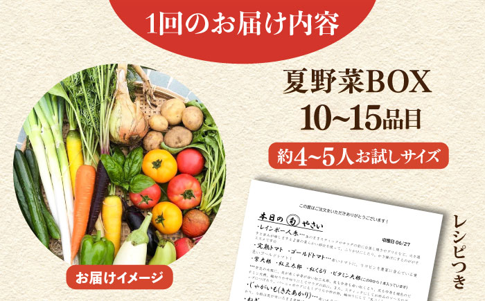 【先行予約】【３回定期便】すずなり採れたて野菜BOX　(10～15品)　夏（5月～7月）【鈴也ファーム】 [AKCE005]