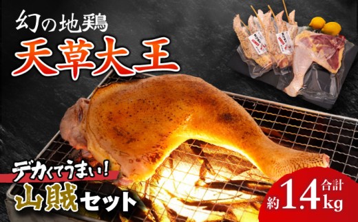 天草大王【山賊セット】幻の鶏 キャンプ BBQ 骨付き もも肉 約800g!! 大手羽先 3本×2セット / 熊本 鶏 鶏肉 手羽先 もも 骨付き肉 手羽先 冷凍 肉セット 【くまもと食彩の力】[AYAN035]