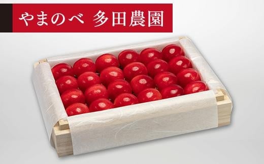 ＜先行予約＞【特選ダイアナブライト】桐箱詰 約300g【やまのべ多田耕太郎のさくらんぼ 多田農園】