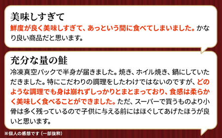 北海道道東産 活き〆時知らず鮭半身切身(小)約900g-1kg【配送不可地域:離島】【1069437】