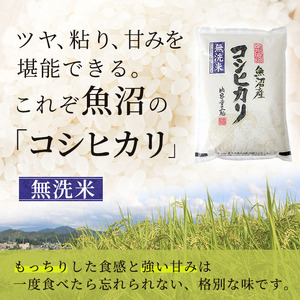 【令和8年産 新米先行受付】無洗米 コシヒカリ 6kg 米 白米 お米 魚沼産コシヒカリ 新潟米 新潟 魚沼市