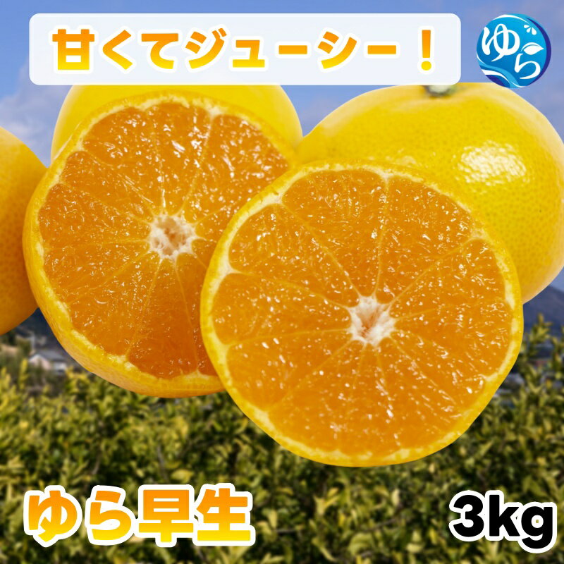 【ふるさと納税】ゆら 早生 みかん 秀品 お試し用 3kg 由良みかん / 温州みかん 和歌山 甘い 家庭用 ※2027年10月上旬～10月下旬に順次発送予定