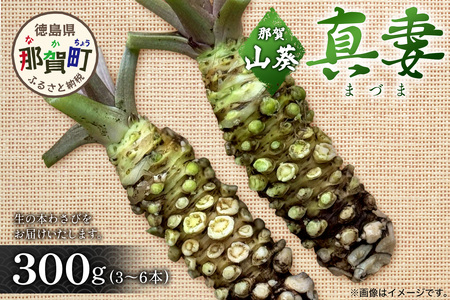 那賀わさび (真妻) 約300g 3～6本【徳島県 那賀町 生産者直送 産地直送 本わさび わさび ワサビ 生わさび 山葵 野菜 香味野菜 国産 真妻 薬味 調味料 万能 新鮮】FN-08