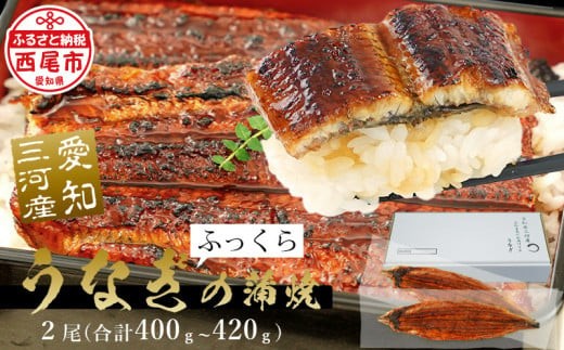 三河産うなぎ 蒲焼 《超特大》×2尾（冷凍）【土用の丑】・A090-17-c1
