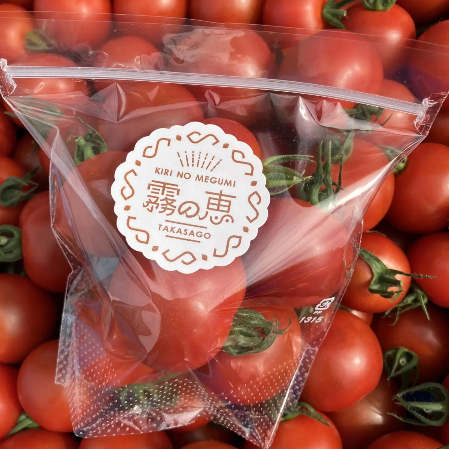 霧の恵(ミディトマト)　甘み・旨みのバランスがよく、口当たりの良いフルーツのような味わいのミディトマト【トマト　兵庫県　高砂市】