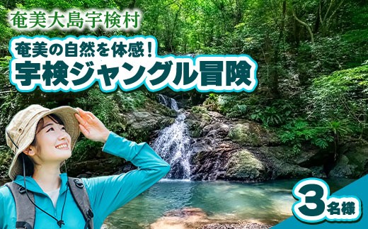 宇検ジャングル冒険 3名様 奄美大島 宇検村 鹿児島県 旅行 自然 冒険 完全プライベート
