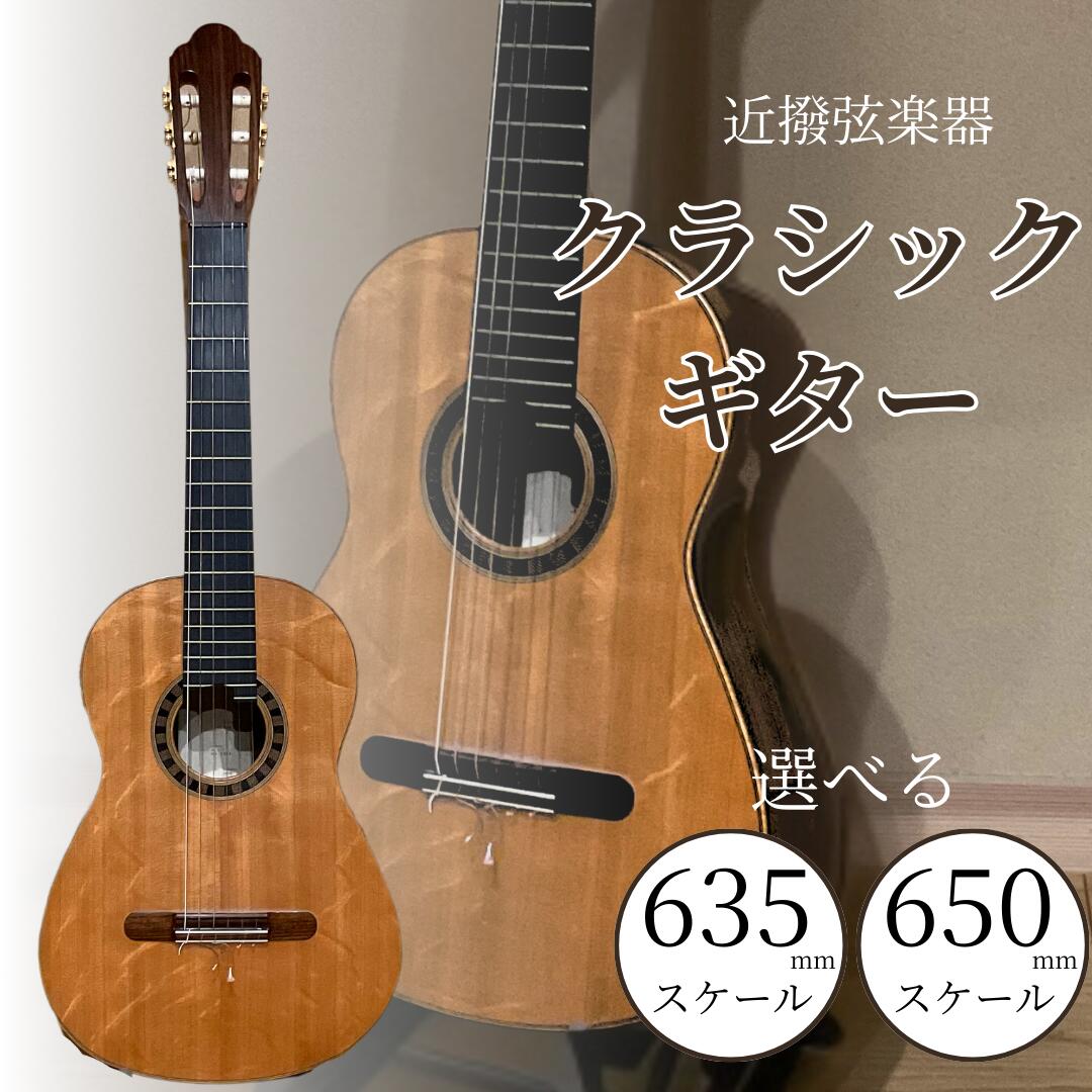 【ふるさと納税】クラシックギター 選べる 635mm / 650mm スケール 弦楽器 一点物 単板 漆 うるし 天然素材 小松市 石川県 200013 【近撥弦楽器】