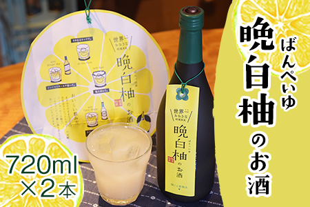 晩白柚 酒 2本 はやし屋 リキュール