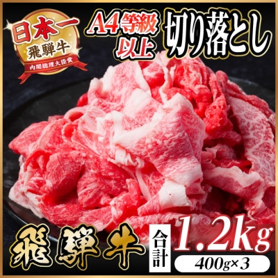 飛騨牛 切り落とし 1.2kg(400g×3)【配送不可地域：離島】