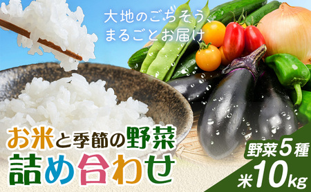 米 野菜 詰め合わせ 季節の野菜 きぬむすめ ひのひかり おまかせ 米10kg+野菜5種 ありがとう園《30日以内に出荷予定(土日祝除く)》岡山県 矢掛町 お米 白米 旬の野菜