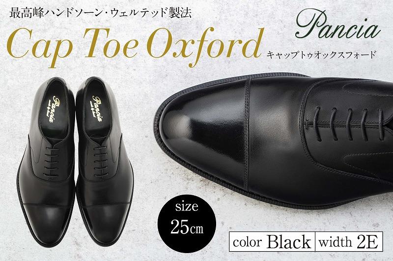【ふるさと納税】革靴 キャップトゥオックスフォード（ハンドソーン・ウェルテッド製法／博多製造）サイズ：25cm