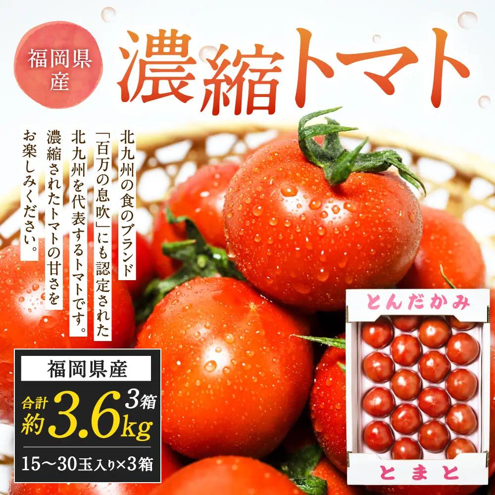福岡県北九州市若松区産 若松濃縮トマト 約3.6kg 【1.2kg箱（15玉～30玉入り）×3箱】【2027年3月上旬～5月下旬迄発送予定】とまと トマト 野菜 国産 北九州市産