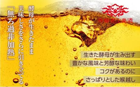 飛騨高山麦酒 ピルセナー 6缶セット 350ml×6本 地ビール ビール 麦酒 クラフトビール 飛騨高山 缶ビール  TR3385