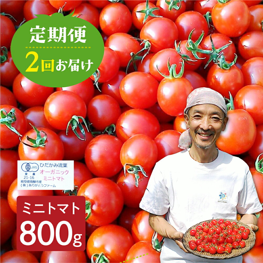 【ふるさと納税】《令和8年産先行予約》 ミニトマト 800g 2回定期便 野菜 夏野菜 とまと 生野菜 10000円 1万円 ［Q1301］ 《hida0307》 どやな飛騨市