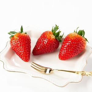 奈良県産いちご　古都華　化粧箱入り4パック【12月中旬から発送】_果物・フルーツ いちご  イチゴ 苺_【配送不可地域：離島・北海道・沖縄県】【1253923】