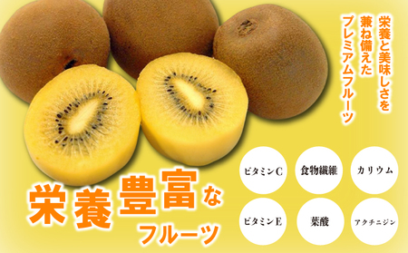 先行予約 キウイ 約3kg キウイフルーツ ゴールドキウイ さぬきゴールドキウイ 10月下旬～12月中旬 配送 家庭用 贈答用 ギフト プレゼント 香川県 丸亀市