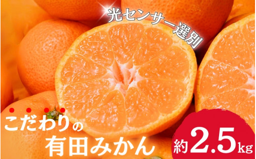 【2024年11月発送】【家庭用】こだわりの有田みかん 約2.5kg＋75g(傷み補償分) 【11月発送】みかん ミカン 有田みかん  ※北海道・沖縄・離島配送不可【nuk159-1A】