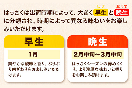 はっさく 八朔 【訳あり/サイズ不選別 】はっさく 約9kg (4L~Sサイズ)早生･晩生指定不可 《2024年2月上旬-4月中旬頃より順次出荷》和歌山県 紀の川市 産地直送 みかん 八朔 柑橘 果物