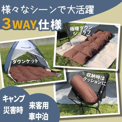 ふるさと納税 広川町 羽毛シュラフ(寝袋)×ダウンケット×ボルスタークッション 3WAY寝袋 ダウン85% 0.5kg使用 |  | 01