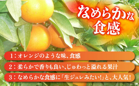 【2027年2月先行予約】【家庭用】天草 約3kg[ECL002] みかん