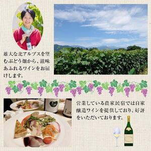 酒 ワイン 白ワイン ケルナー 大町産 1本 × 720ml | 長野 信州