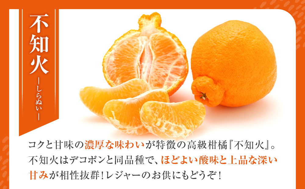 不知火(しらぬい) オレンジ みかん 家庭用 5kg