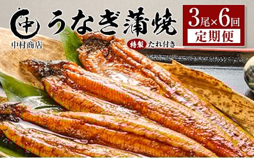 ＜定期便＞3尾×全6回 国産 うなぎ 蒲焼 有頭 計3.2kg以上（1回あたり 計543g以上） たれ付き 宮崎県産 鰻 中村商店