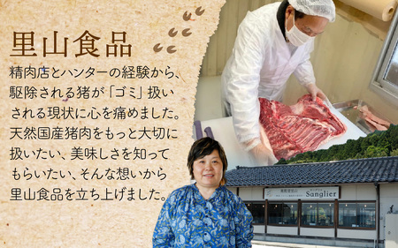 能登 穴水産 天然 鹿肉モモブロック 1kg（500g × 2袋）| ジビエ 1キロ