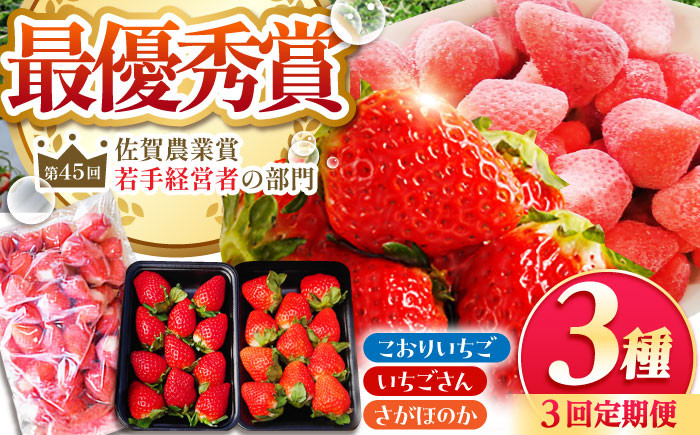 
                  【全3回定期便】いちご食べ尽くし定期（さがほのか いちごさん こおりいちご）【むらおか農園】 [HAF027] いちご 苺 イチゴ 果物 フルーツ ichigo strawberry 冷凍いちご いちご いちごさん 佐賀県 江北町
                