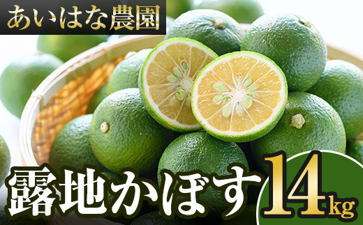 <先行予約受付中！2026年8月上旬以降順次発送予定>露地カボス(約14kg)かぼす カボス 柑橘 特産品 大分県産【107100902】【あいはな農園】