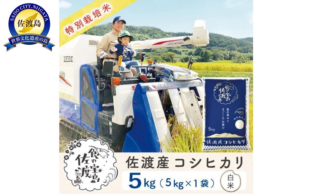 
            佐渡島産コシヒカリ 白米5Kg×1袋 特別栽培米 令和6年産 ”ベストファーマー認証受賞歴”
          