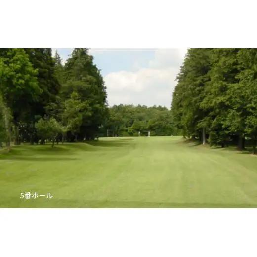 ゴルフ場利用券 白井ゴルフ林間ショートコース 平日2回プレー券 1名様分 白井市 ゴルフ場 お一人様でも回れるゴルフ場 おすすめ 体験 千葉 初心者歓迎 ショートコース ペアチケット 体験チケット