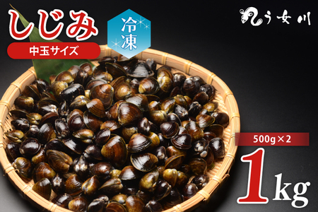 IX-14　しじみ　冷凍　中玉　1kg（500ｇ×2）砂抜き済み　涸沼川　う女川