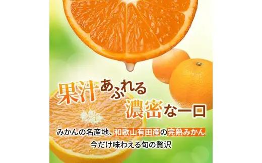 鹿蔵 プレミアム 有田 みかん 5kg+250g（傷み補償分）(完熟) / 温州みかん 有田みかん 光センサー 選別 甘い 和歌山 柑橘 ※2026年10月上旬～11月中旬頃に順次発送予定 ※北海道・