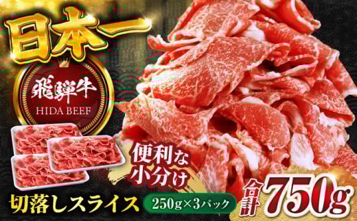 【6月発送】【飛騨牛】切り落とし スライス(250g×3) / 飛騨牛 ひだぎゅう 牛肉 ぎゅうにく 飛騨牛 和牛 焼肉 小分け 飛騨牛 岐阜市/丸福商店 [ANBO004-6]