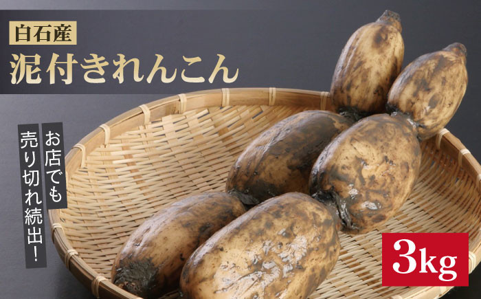 
            レンコンの名産地！白石町産 泥付き れんこん（3kg） /レンコン 蓮根 佐賀県産 野菜 根菜 高品質 [IZZ011]
          