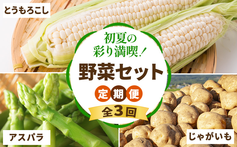 【2026年春～秋発送】定期便 3ヵ月 初夏の彩り満喫 野菜セッ