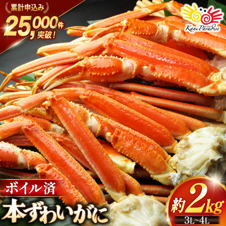 ボイル済み 本ずわいがに 脚 3L～4L 総重量2kg ( ズワイガニ ずわい蟹 ズワイ蟹 ずわい ズワイ 蟹 カニ カニ脚 蟹脚 )/ カネダイ / 宮城県 気仙沼市