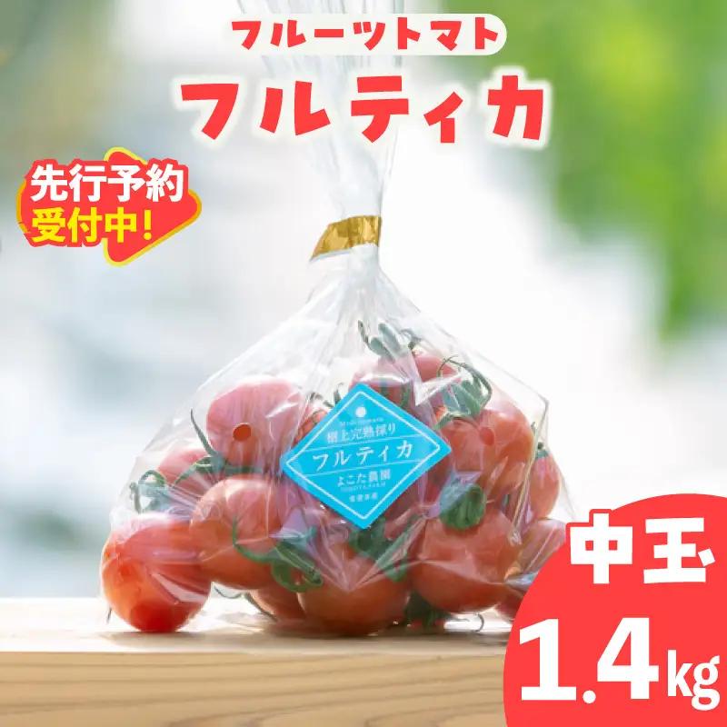 【先行予約】【2027年1月中旬以降発送】フルーツトマト　中玉フルティカ1.4kg│トマト フルティカ 常滑市