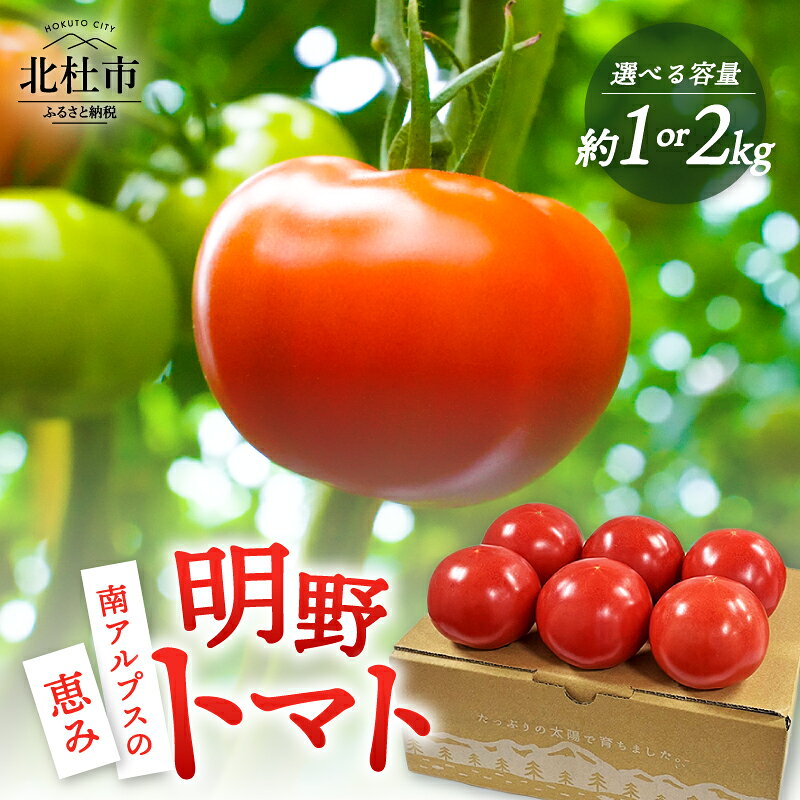 【ふるさと納税】 トマト 詰め合わせ 選べる容量 約1kg 約2kg 新鮮 甘味 酸味 野菜 明野とまと 九州屋ファーム 明野町 山梨県 北杜市 送料無料 9000円 9000 10000円以下
