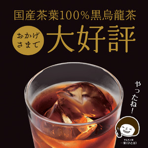 黒烏龍茶 静岡県産 黒烏龍茶 500ml × 24本 ウーロン茶 いなば園